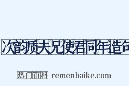 次韵质夫兄使君同年造句是什么意思的图片